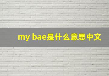 my bae是什么意思中文